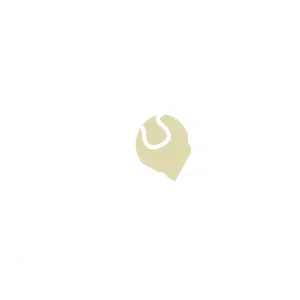 OPMA managers Africains